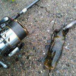 おはようございます！❤